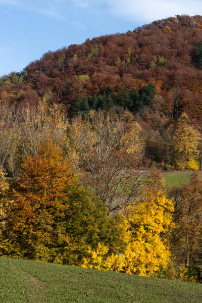 istock indian summer in south germany 678854330