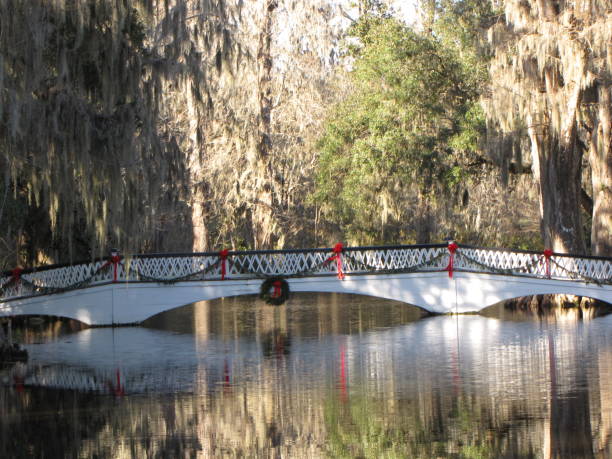 istock Magnolia Plantation Bridge 678859750