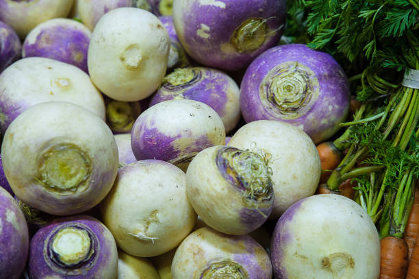istock Food background - turnips and carrots 678859778