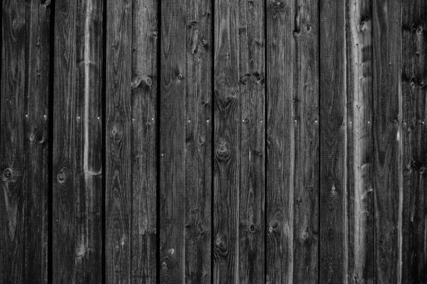 Detail of old wooden farm building, boards, metal hardway and deer antlers