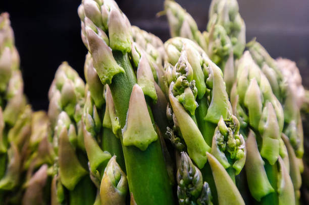 Close-up of asparagus officinalis or commonly known as garden asparagus