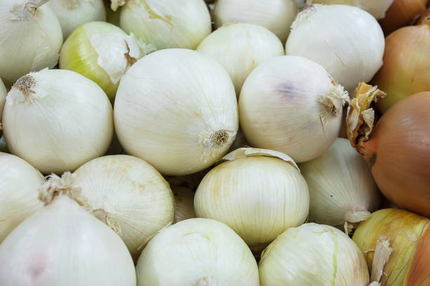 Food background - predominantly white and few golden onion varieties