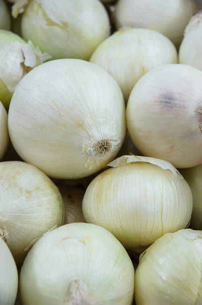 Food background - stack of white onions