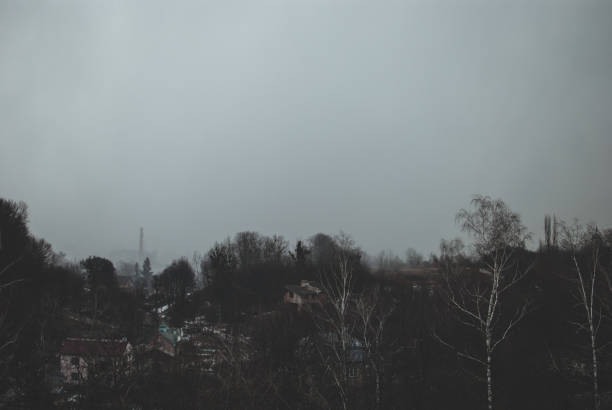 Dark gothic view of Lviv's (Ukraine) suburbs on a cold misty day in February. Pale grey sky and abandoned houses on a background. Gloomy trees and black branches.