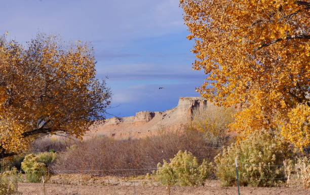 istock Desert has autumn in Utah. 678884522