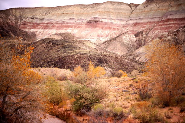 Autumn in Capital Reef.