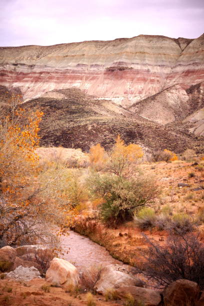 istock The river in the desert, Utah. 678902366