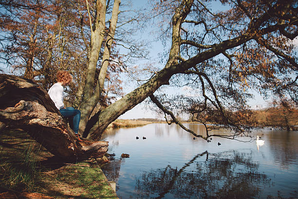 woman sitting on branch at lakeshore in richmond park - richmond park imagens e fotografias de stock