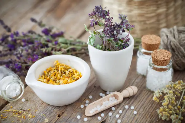 Mortar and bowl of dried healing herbs and bottles of homeopathic globules.  Homeopathy medicine concept.