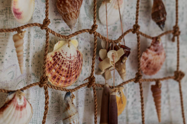 istock Variety seashells hanging on the wall. 678915452