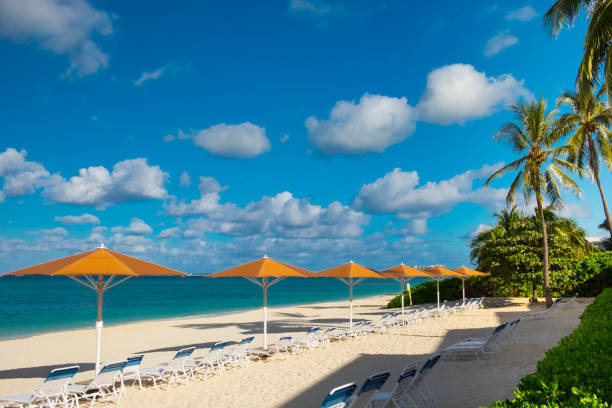 Parasols And Sun Loungers