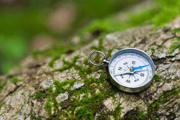 istock Close Up Of Compass On Moss-Covered Fallen Tree 678927476