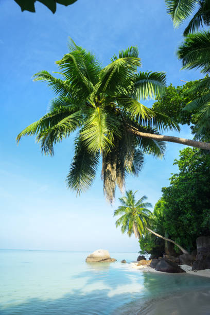 istock sunset on the beach, Mahe island, Seychelles 678931878