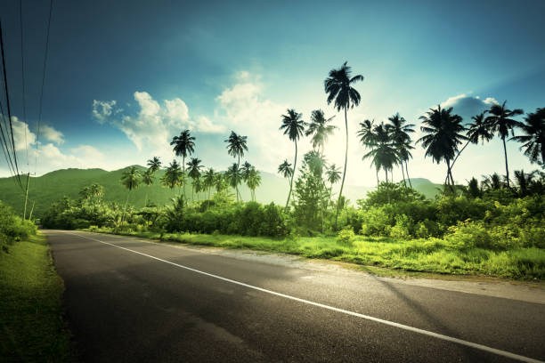 istock empty road in jungle of Seychelles islands 678933588