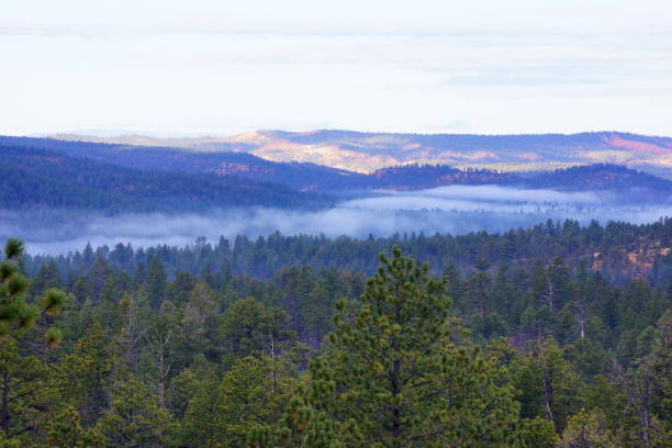 istock Farview of north forest from Bryce canyon. 678938688