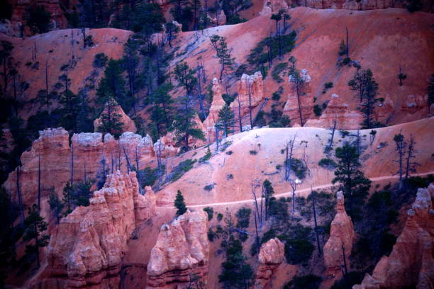 istock Trail view of Bryce canyon. 678939582
