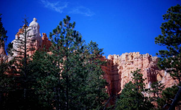 istock Near the trail top, Bryce Canyon. 678941012