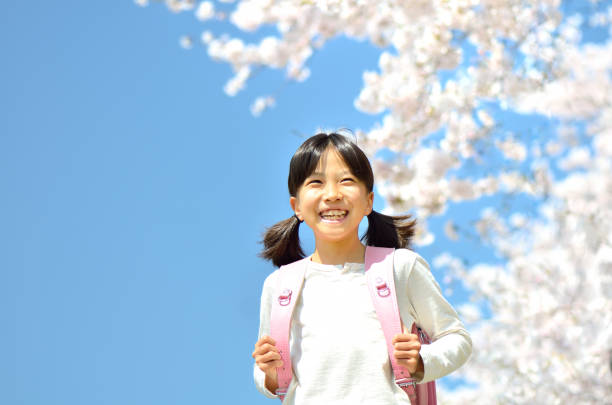 istock Cherry blossoms and elementary school girls 678967190