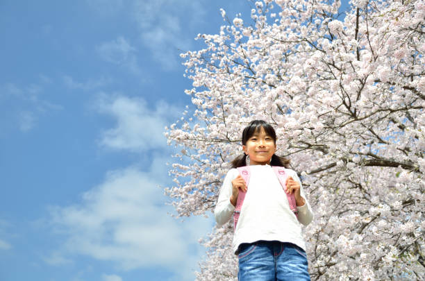 istock Cherry blossoms and elementary school girls 678969870