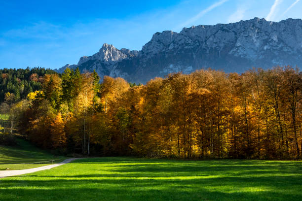 istock Autumn mountain landscape with fall forest and mountain range in the background. Austria, Tirol, Tyrol 678983854
