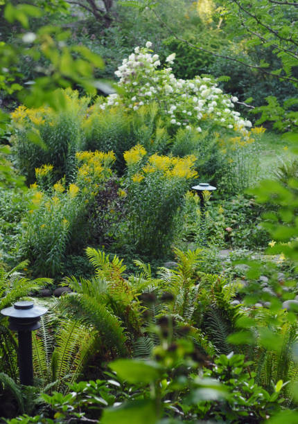 istock Garden Summer Vasteras 678986112