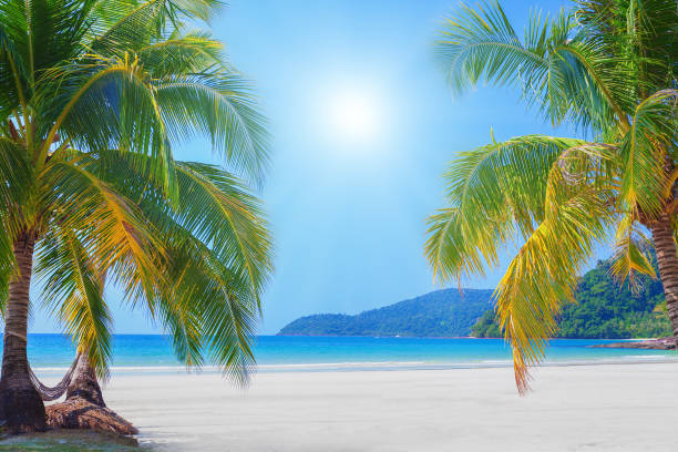 istock Tropical beach and turquoise sea 679011460