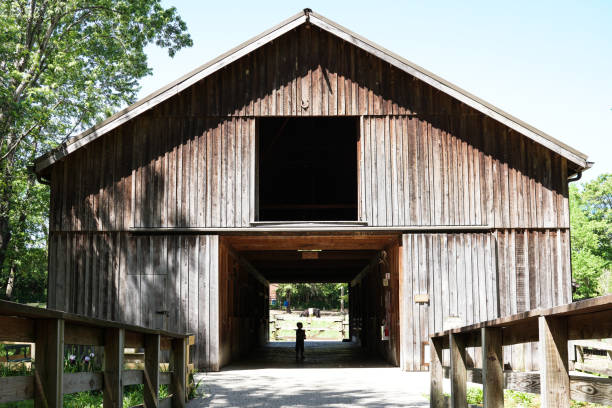 Little boy standing in entryway of old barn