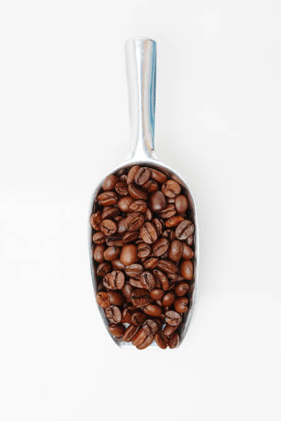 istock coffee beans in metal scoop on white, top view 679071160