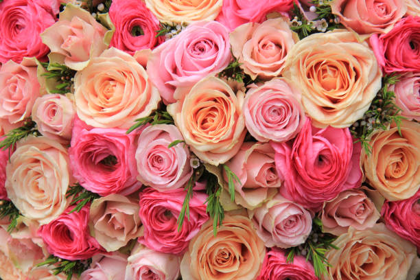 istock Pink rose bridal bouquet 679074426
