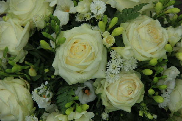 istock White roses in bridal bouquet 679082788