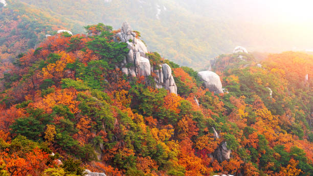 Bukhansan mountains in autumn,Seoul in South Korea.