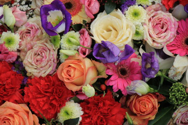 istock Colorful wedding flowers 679112112