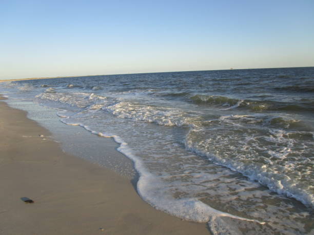 istock DAUPHIN ISLAND BEACH SCENE 679113818
