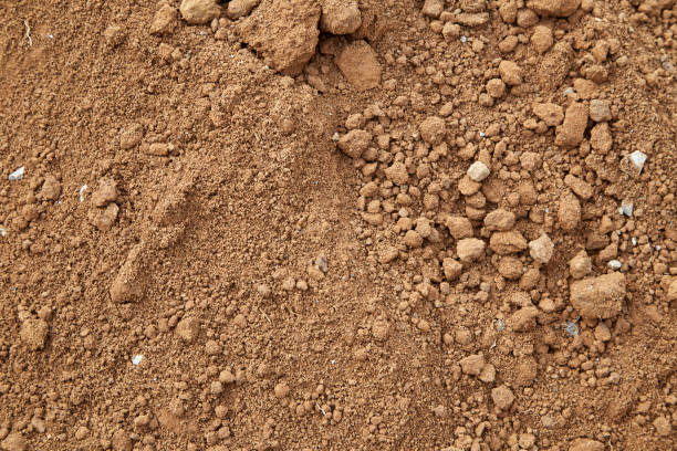 istock Ground agriculture Organic 679114636