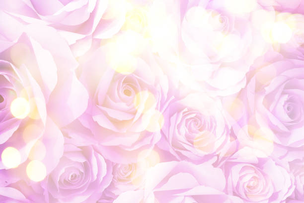 istock soft focus of beautiful flowers 679131046