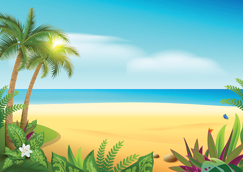 Tropical paradise island sandy beach, palm trees and sea. Vector cartoon illustration Hawaii
