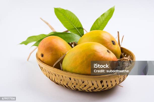 King Of Fruits Alphonso Yellow Mango Fruit Duo With Stems And Green Leaf Isolated On White Background A Product Of Konkan From Maharashtra India Stock Photo - Download Image Now