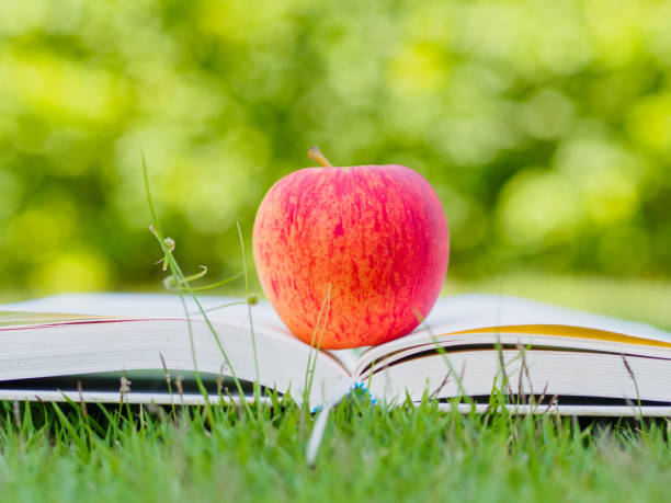 istock World Book Day concept. Red apple and pen put on open book 679177254