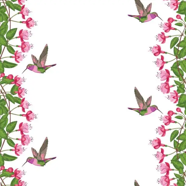 Vector illustration of Fuchsia and Hummingbird Seamless Border