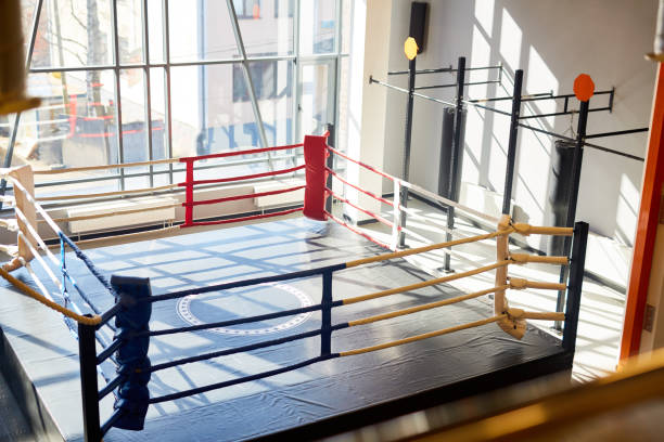 200+ Boxing Ring Top View Stock Photos, Pictures & Royalty-Free Images