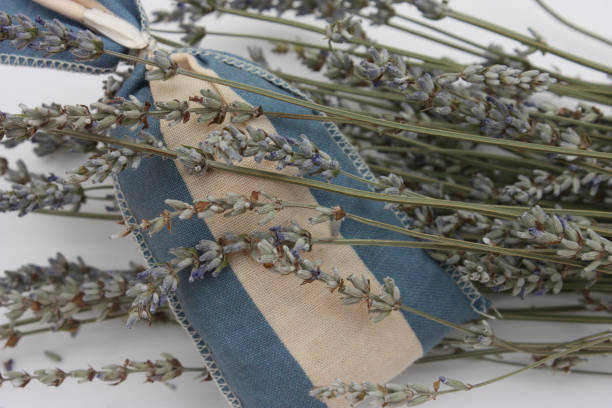 istock Lavender in a douch to perfume household linen 679204506