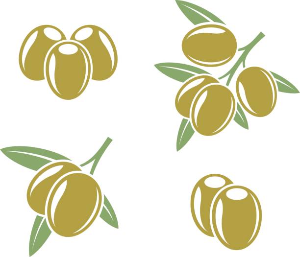 illustrations, cliparts, dessins animés et icônes de olives abstraites avec feuilles et olives marinées - olive vegetarian food abstract antioxidant