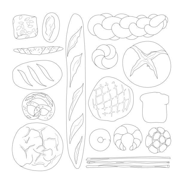 illustrazioni stock, clip art, cartoni animati e icone di tendenza di disposizione del pane disegno linea (knolling) - focaccia