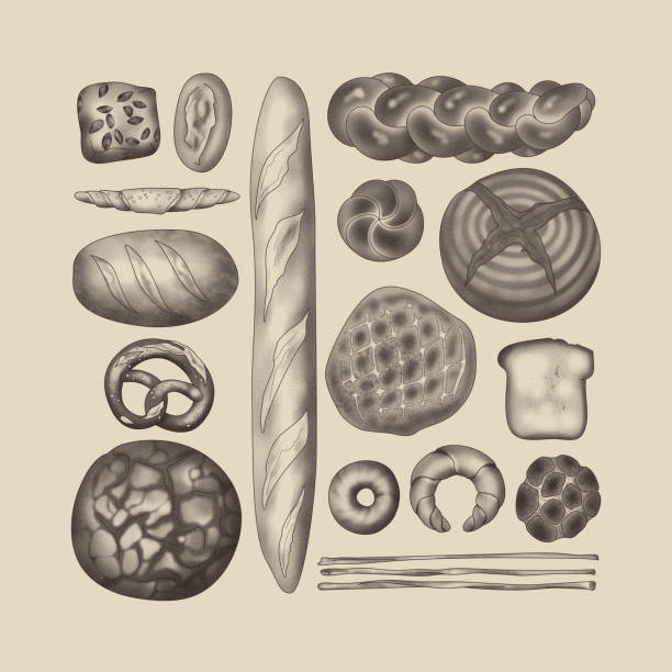 aranżacja chleba w sepii na beżowym tle (stippling & knolling) - handroll stock illustrations