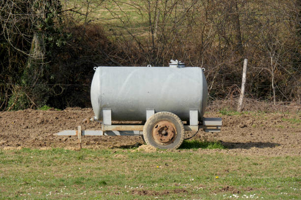 istock traditional cattle watering tank on a meadow 679248478