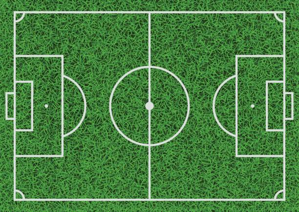 istock Top view of textured green grass soccer field, vector illustration. 679252532