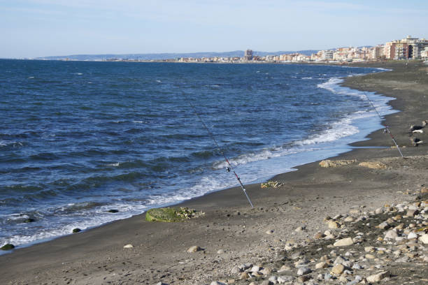 two fishermen's rods in a sunny day
