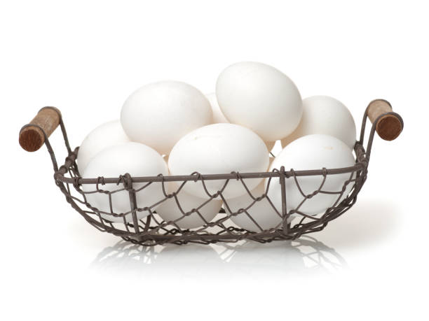istock White Eggs on Duck-shaped Wire Basket  on white background 679282310