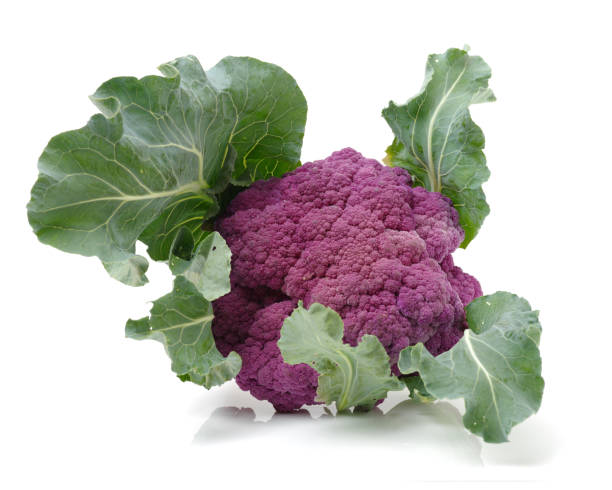 istock Isolated fresh lila cauliflower on white background 679299380