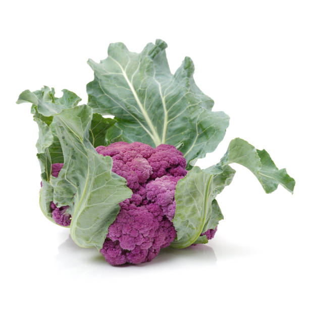 istock Isolated fresh lila cauliflower on white background 679300282